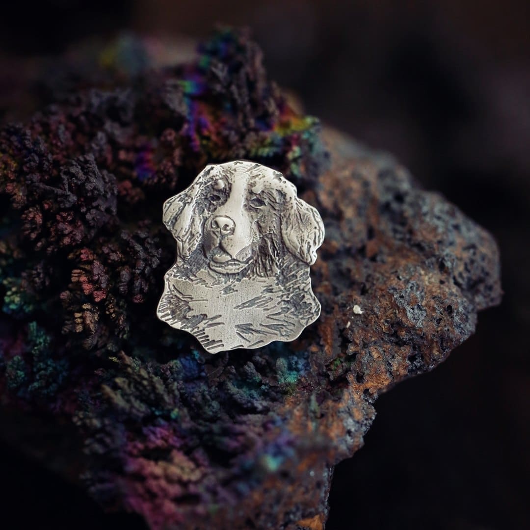 broszka pies berneńczyk srebro