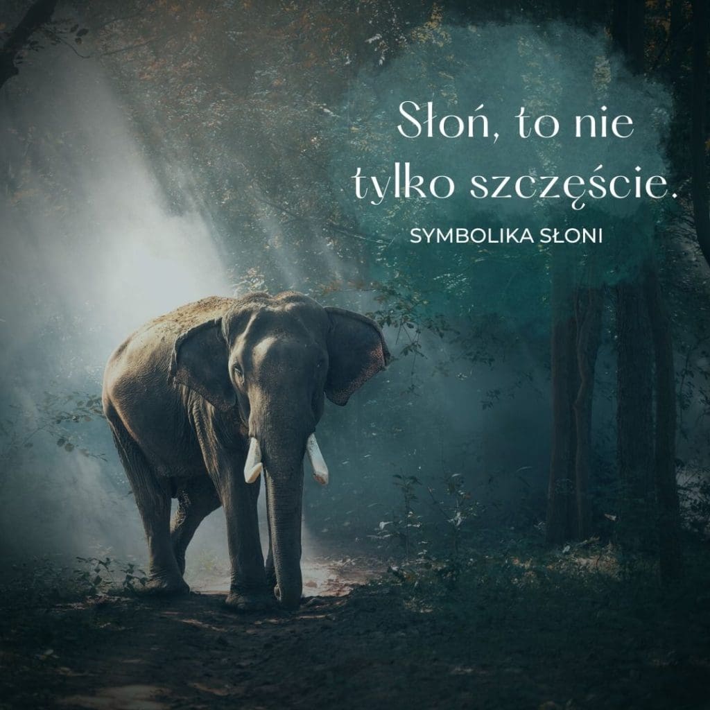 symbolika słonia